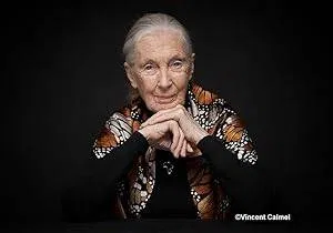 Jane Goodall