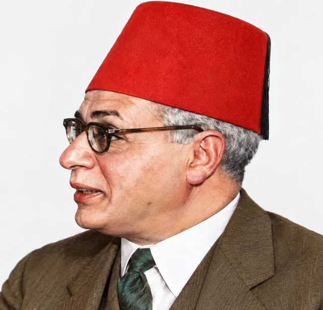 محمد شفيق غربال