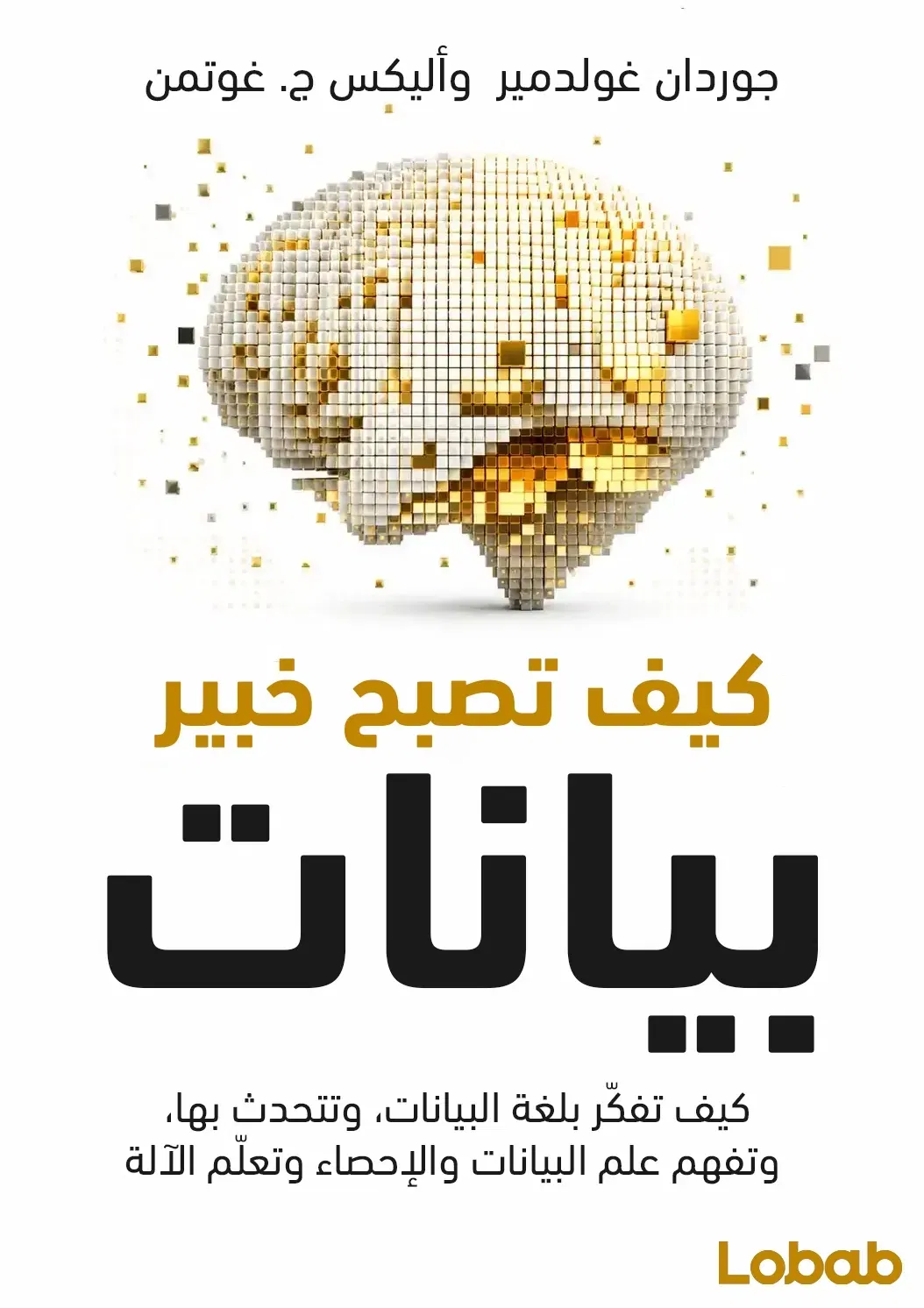 كيف تصبح خبير بيانات