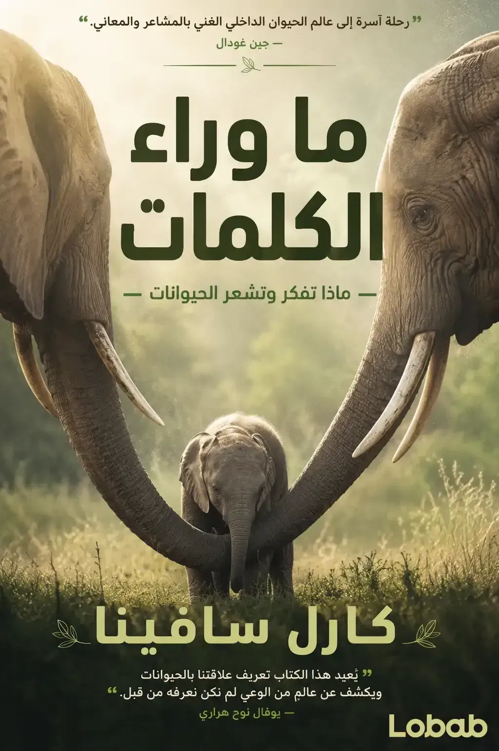 ما وراء الكلمات
